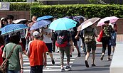 未來一周大雨襲中南部　這天過後雨勢變猛烈