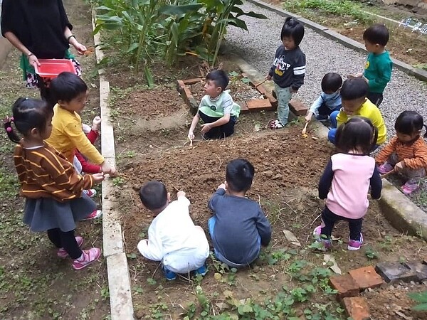 附近的安迪芬幼兒園也曾到此戶外教學，讓幼兒體驗種菜的樂趣。圖／取自信義里、後溪里共同粉絲專頁