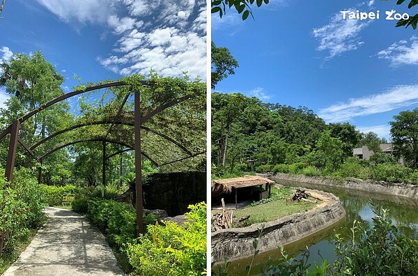 睽違77天,臺北動物園8/1重新開放。圖/台北市府提供