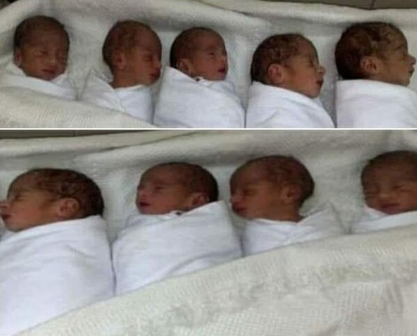 摩洛哥一位產下九胞胎、創下世界紀錄的媽媽透露孩子們每天需用掉100片尿布和整整6公升的牛奶。圖／截自推特
