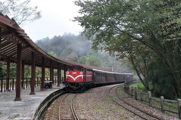 阿里山火車是著名觀光景點。圖／林鐵處提供
