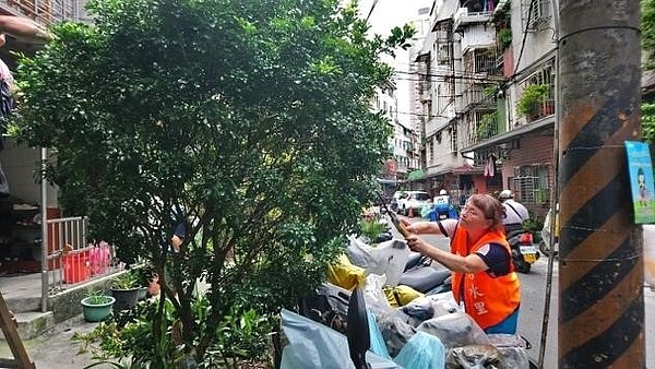 秀水里不時都會進行社區內的樹木修剪。圖/陳炳男提供