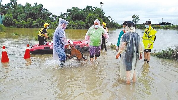 台南市新化一處地勢低窪私人狗場水淹及腰,消防局人員冒雨搶救、撤離48隻狗。(台南市動保處提供/曹婷婷台南傳真)