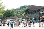 解封重開　北市動物園、兒童新樂園客滿