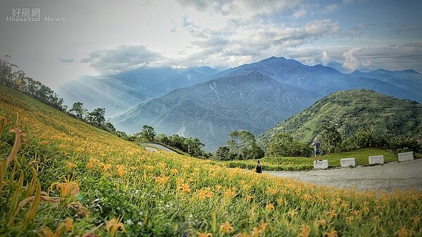 台東 ｜ 太麻里金針山2-1