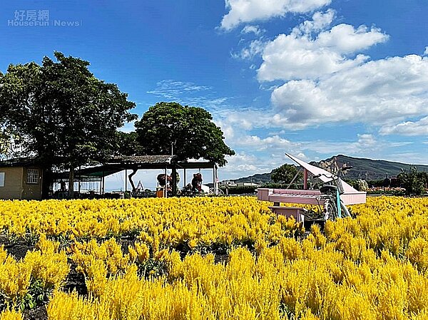 台中 ｜ 中社觀光花市4-2