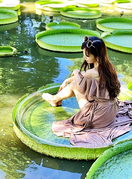 桃園 ｜ 蓮荷園休閒農場6-2