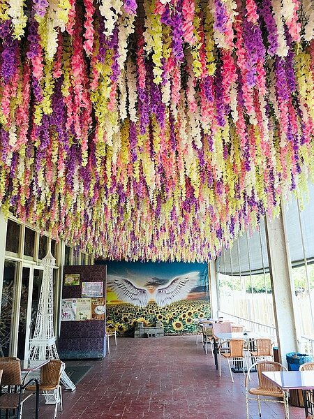 桃園 ｜ 向陽農場5-3