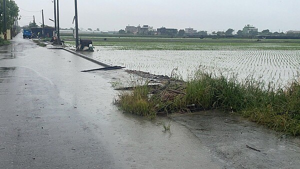 連日大雨農田泡水。圖／農民提供