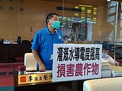 苗栗化工廠放流水汙染嚴重超標　大甲芋頭200公頃受害