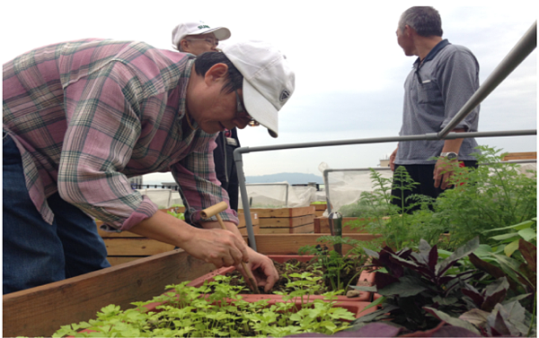 屋頂菜園。圖／蔡穎峰提供