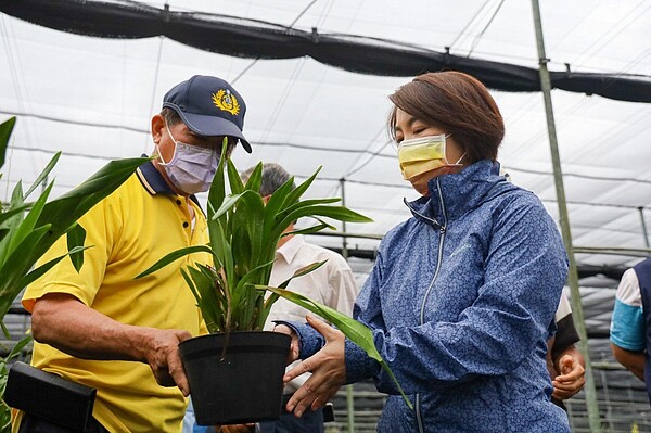 屏東縣連日豪大雨不停，文心蘭農在竹田鄉天使花園向立委周春米陳情。圖／周春米提供