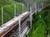 高鐵宣布明天苗栗-台中單線雙向通車　各列車將延誤
