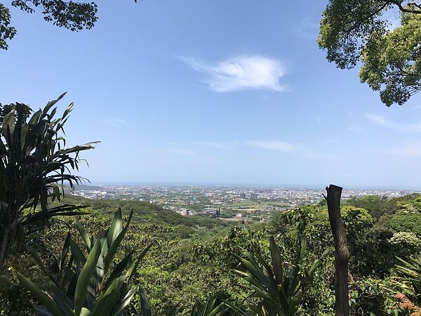 湖口老街後山區域變身,結合品茗、賞景、生態遊。圖/新竹縣交旅處提供