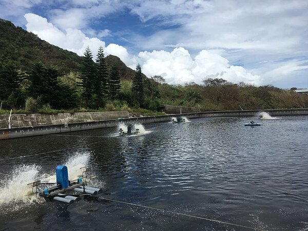 台東縣政府為提高海岸養殖產業競爭力,規畫明年初成立養殖漁業專區。圖/台東縣政府提供