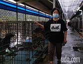 美濃八旬嬤用臉書不輸肖年仔　砸光積蓄顧600浪犬