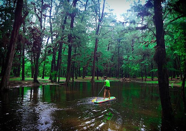 漁光島防風林因雨泡水,攝影師意外發現成了台南版水漾森林。(程毅然提供/程炳璋台南傳真)