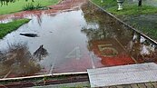 連日豪大雨重創偏鄉小校　嘉義縣48校淹水災損破千萬