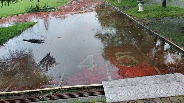 受連日豪大雨影響,嘉縣轄內埔國小等48所學校出現災損情形,其中景山國小、內埔國小、下楫國小、龍崗國小及古民國小等5校,因排水系統不良、雨勢過大,造成校園嚴重積水及淹水情形,目前積水消退。圖/記者魯永明翻攝