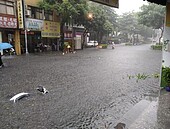 大雨炸半小時　新北永和國光路成生態池