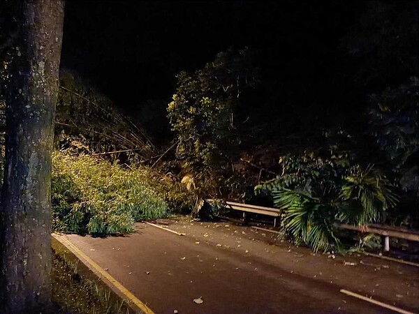 南投縣水里鄉凌晨爆發土石流，大量土石傾洩而下，台16線和台鐵集集線交通中斷。圖／讀者提供