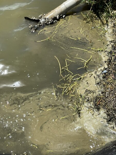 芳苑鄉漢寶村漁塭被沿海風力發電的風機漏油導致汙染。 圖／許永坤提供
