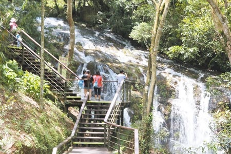 嘉義縣梅山鄉太興村的太興飛瀑步道近來水量豐沛，假日吸引不少遊客前踏青。（張亦惠攝）