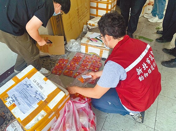 新北市警方會同防檢局、新北市財政局、衛生局及動保處人員搜索新莊中正路倉庫,當場查獲大批越南肉類食品。(新北市動保處提供/王揚傑新北報導)