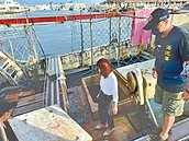 走私貓安樂死　朝野籲人道收容