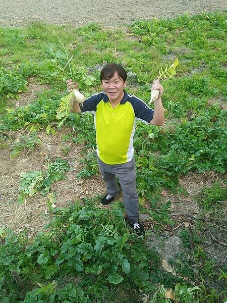 華偉里長克紹箕裘，將百壽里打造地更加亮眼。圖/取自臉書「板橋偉哥」