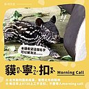 柯文哲參戰貘寶寶命名「葉克貘」　幕僚改成「貘寧扣」