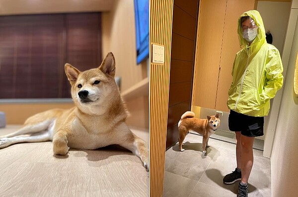 從視網膜家中的設計,可看出對寵物犬「柚子」的疼愛。圖/截自視網膜臉書