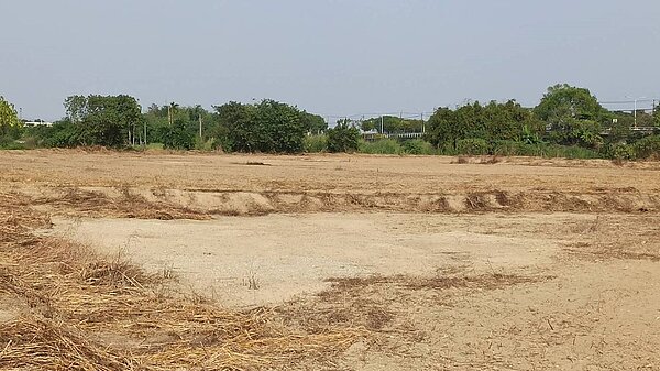 2019年間，台南市社區大學因發現該處土壤劣化，農作生長不良，經比對歷史資料後，發現不法而檢舉。記者邵心杰／翻攝