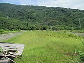 花蓮壽豐1500坪土地法拍　底價600萬元