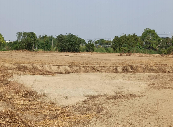 後壁玉米田遭掩埋大量廢爐渣。圖/台南市地檢署提供