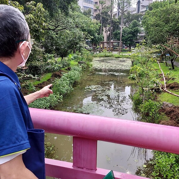 打造生態池。圖／蕭戰攝
