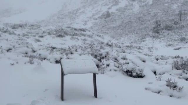 雪山地區雨雪混合，雪山圈谷積雪今天80公分，山上雪訓隊伍陸續傳出山上美麗的雪景，讓人讚嘆美麗的北國世界。圖／楊姓山友提供