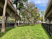 北市北投、信義區新設狗活動區　2月23日進行壓力測試