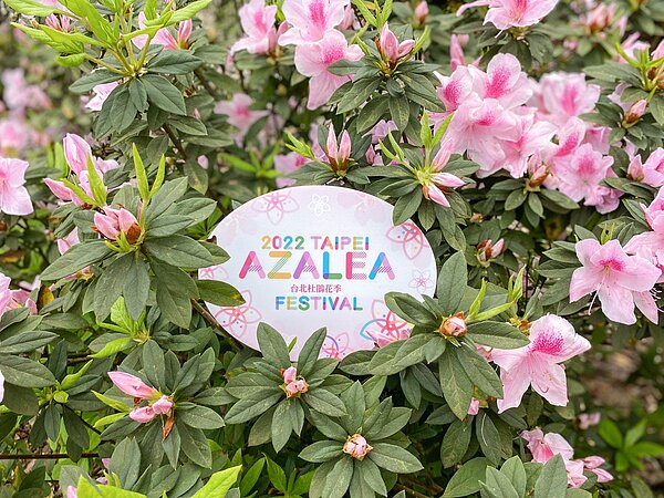 2022台北杜鵑花季3/1在大安森林公園登場。圖/北市府提供