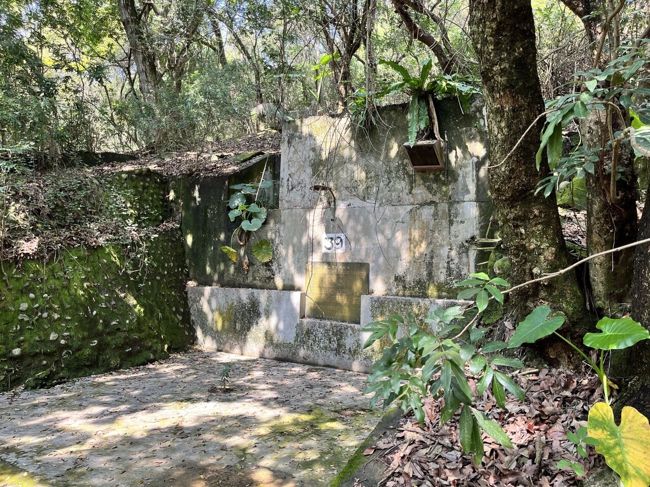 中興新村防空洞沿著虎山開鑿廣植樹木,除了幾處入口外,不易發覺。記者江良誠/攝影