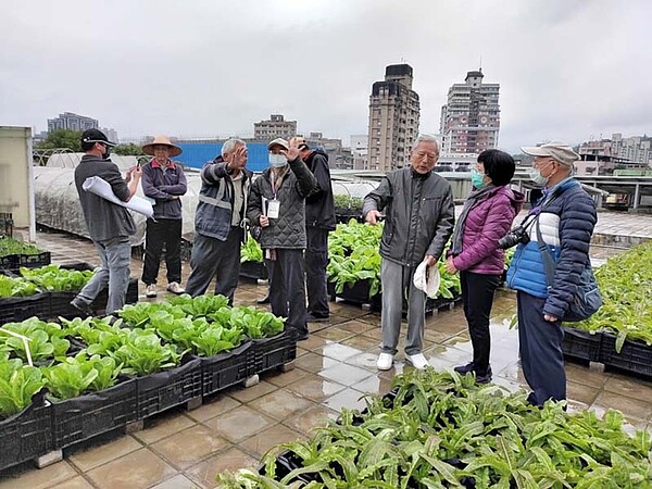 大安銀髮開心農園搬新居，興隆市場頂樓成為田園秘境。圖／台北市工務局提供