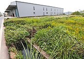 農地工廠納管　台中還剩5千家