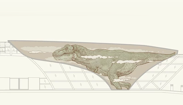 科博館認養台灣大道公車專用道「科博館站」雙向候車亭計畫，預計5月能見到6隻肉食性與草食性恐龍「站上」台灣大道，圖為科博館首波釋出「暴龍」圖稿。圖／國立自然科學博物館提供