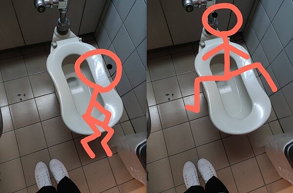 原PO好奇長型馬桶到底該用何種坐姿如廁。圖/擷取自Dcard