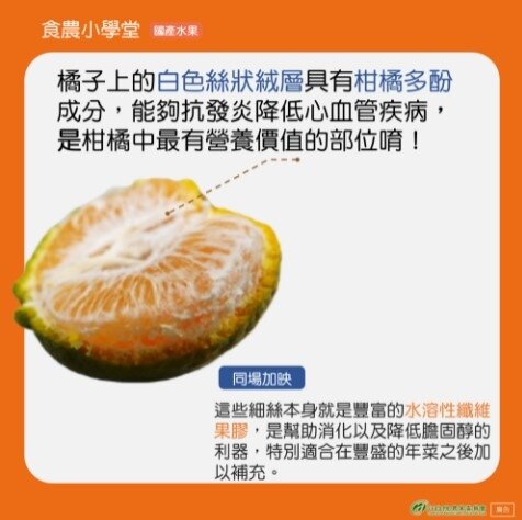 農委會指出，橘子上的白色絲狀絨層具有柑橘多酚成分，能夠抗發降低心血管疾病，是柑橘中最有營養價值的部位。圖／農委會提供