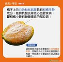 橘子皮別剝太乾淨！「這部分」最營養：降低膽固醇利器