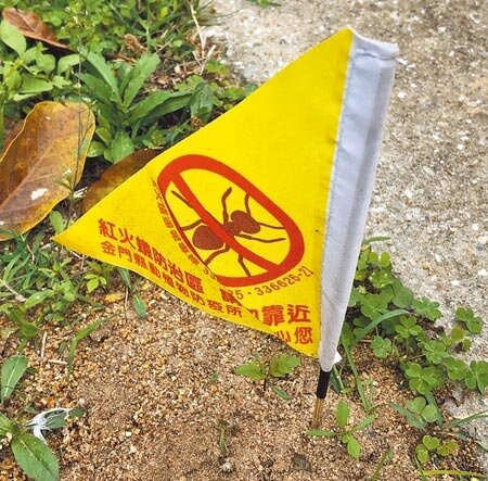 紅火蟻入侵金門,全島5鄉鎮均被中央列為紅火蟻普遍發生區。(李金生攝)