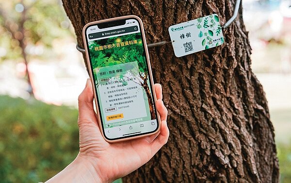 桃園完成逾11.4萬樹木普查並建置「桃園市樹木普查資料庫」。圖／新聞處提供