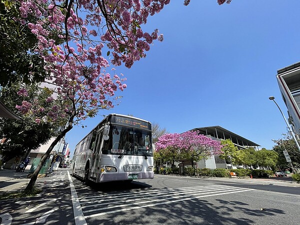 被譽為「台南最美公車站」的大台南公車18路「大光國小」站候車亭兩旁紅花風鈴木盛大開花。圖／台南市政府提供