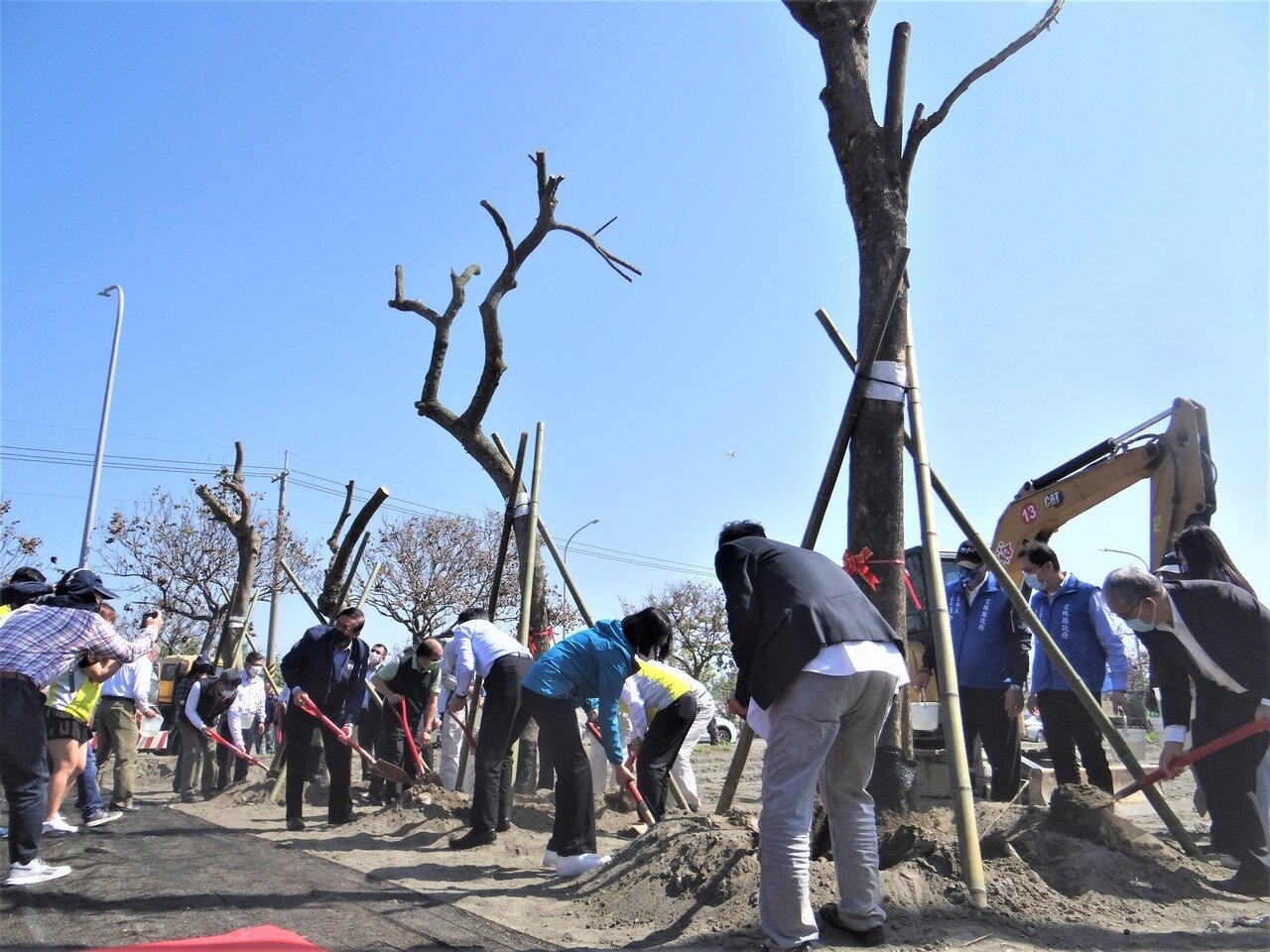 雲林縣政府開闢樹木銀行，縣長張麗善帶領種下樹苗和移植到樹木銀行的大樹，展現護樹愛地球。記者蔡維斌／攝影 